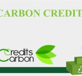 Fraudster jailed for fake carbon credit scheme worth £2.4 million
